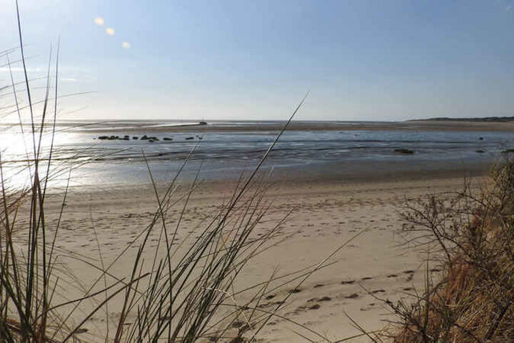 Le braconnage envahit la réserve naturelle de la baie de Canche, dans le Pas-de-Calais
