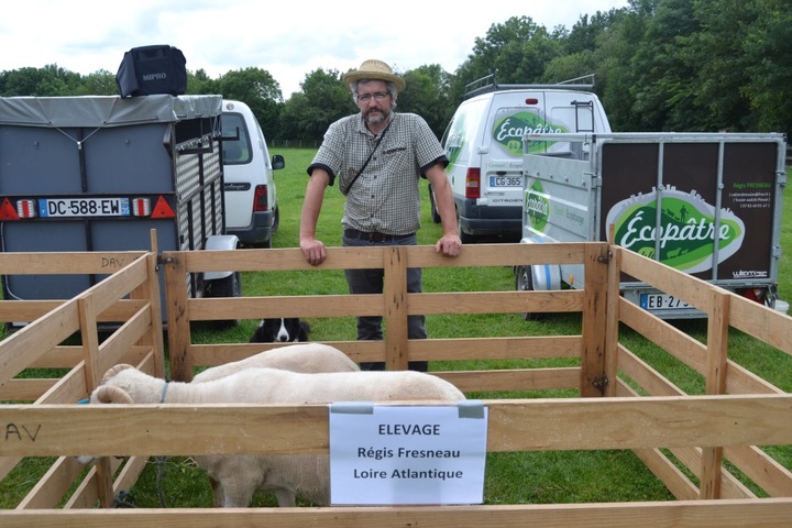 Pourquoi élever des moutons de race locale<small class="fine d-inline"> </small>?