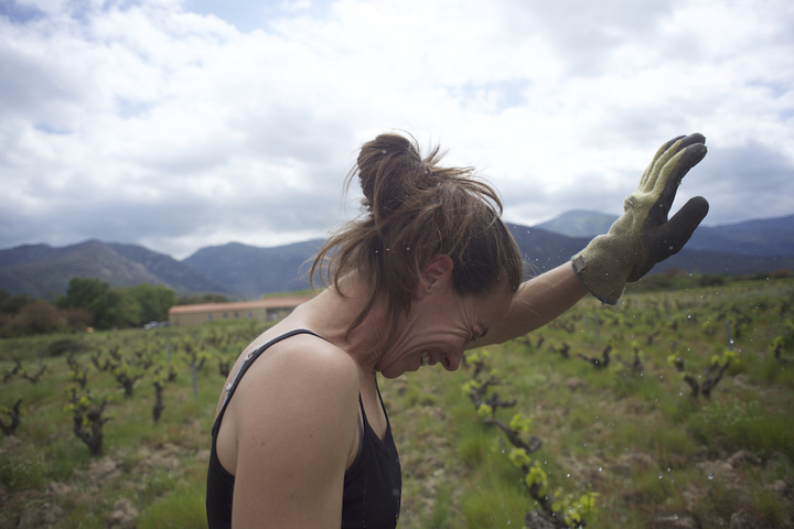 «<small class="fine d-inline"> </small>Wine Calling<small class="fine d-inline"> </small>», l'appel des vins nature