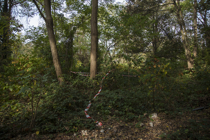 La Corniche des forts de Romainville décrétée «<small class="fine d-inline"> </small>forêt à défendre<small class="fine d-inline"> </small>»