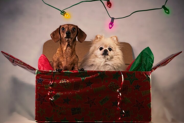Les cadeaux à offrir (ou pas) à vos amis écolos