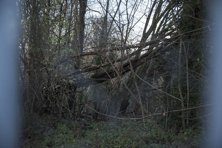 Forêt de Romainville : la bataille continue