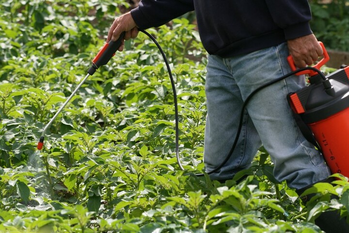 Avec la loi Labbé, fin des pesticides pour les particuliers 
