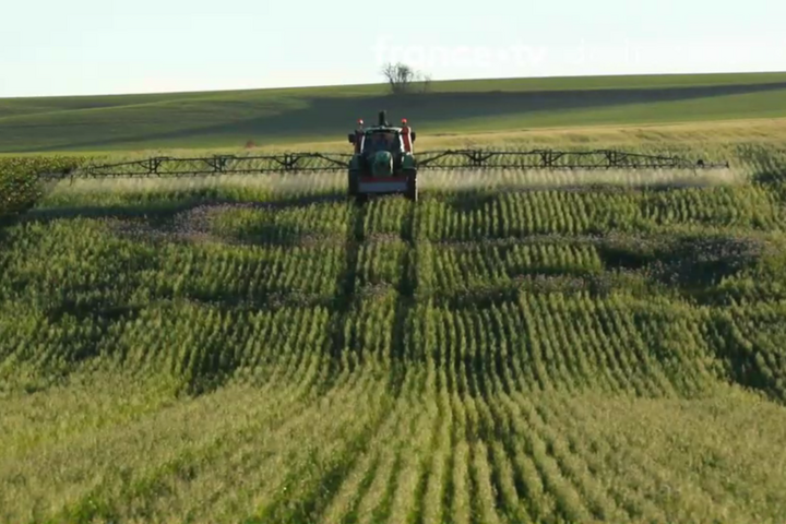 Glyphosate : la justice pourrait contraindre l'État à agir