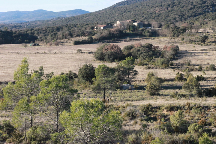 Dans l'Hérault, des truffes ou des paysans<small class="fine d-inline"> </small>? Bataille pour 400 hectares de terres 