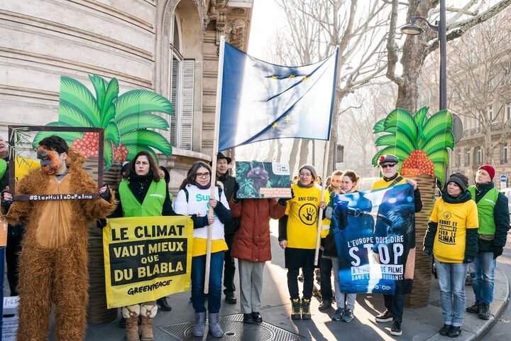 Des <span class="caps">ONG</span> demandent la fin de l'huile de palme dans les carburants