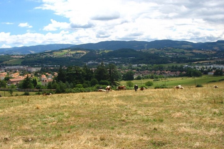 Plaidoyer pour une loi contre l'artificialisation des terres
