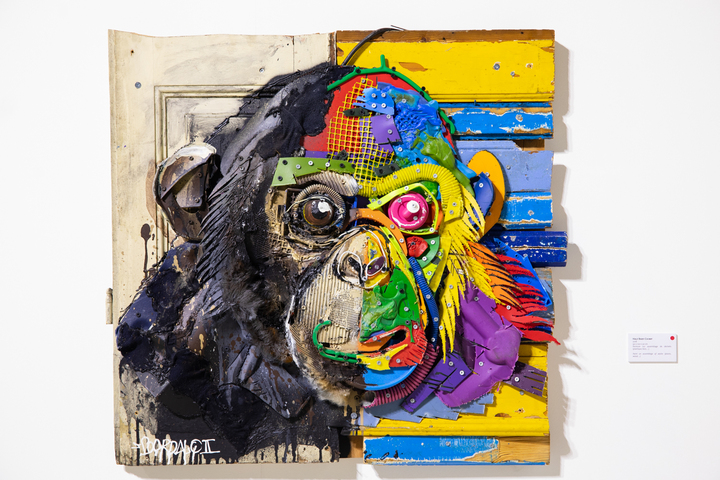 Bordalo <span class="caps">II</span> transforme les rebuts de la société en une ode à la nature