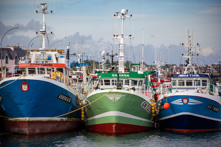 Vote crucial sur l'avenir de la pêche à Bruxelles 