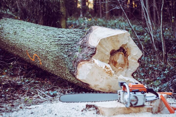 L'opération séduction des industriels de la forêt