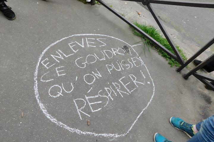 Radio Bambou : Sur les trottoirs de la ville, les plantes sauvages vous parlent