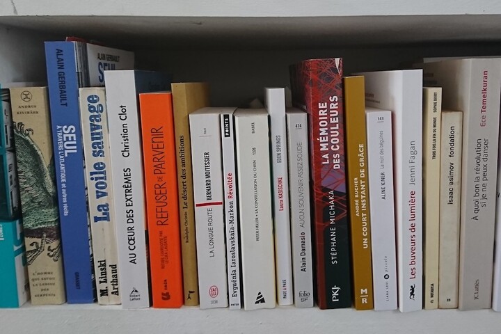 Le goût de la lecture, des mots et des idées, la plus belle arme qui sera jamais
