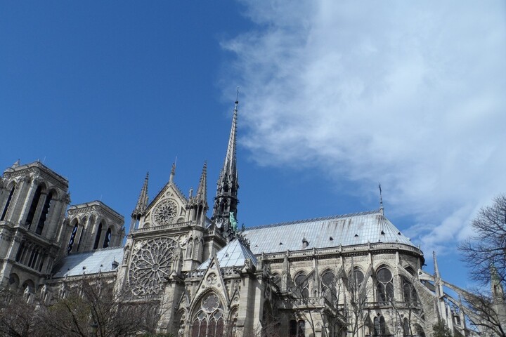 Notre-Dame-de-Paris : une association alerte sur les risques d'intoxication par le plomb