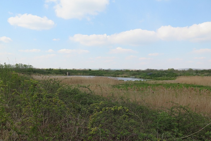 Près de Meaux, un refuge d'oiseaux menacé par un projet de décharge