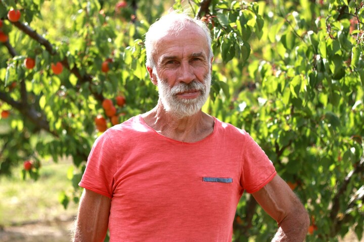 La grande détresse des producteurs de fruits d'été