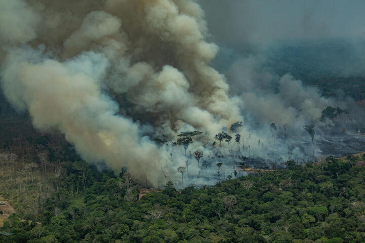 Malgré les incendies, le Sénat brésilien stimule encore la déforestation 