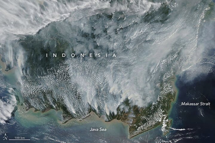 En Indonésie, d'immenses feux de forêt menacent le climat et les populations