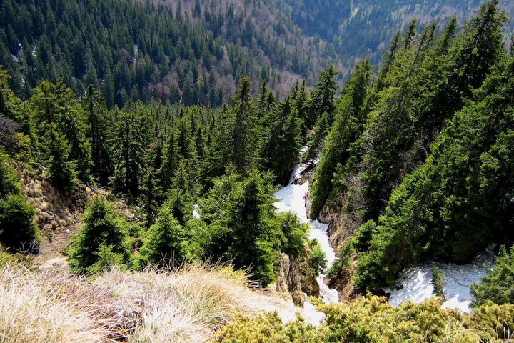 Un garde forestier assassiné en Roumanie 