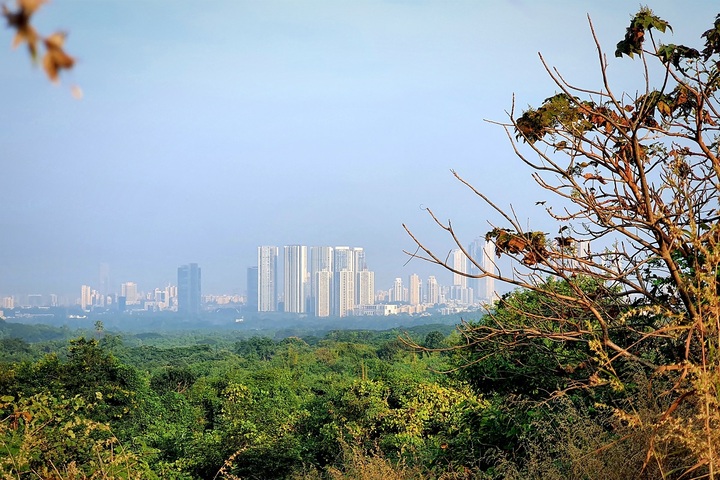 Un métro dans la jungle<small class="fine d-inline"> </small>? À Bombay, la mobilisation a porté ses fruits