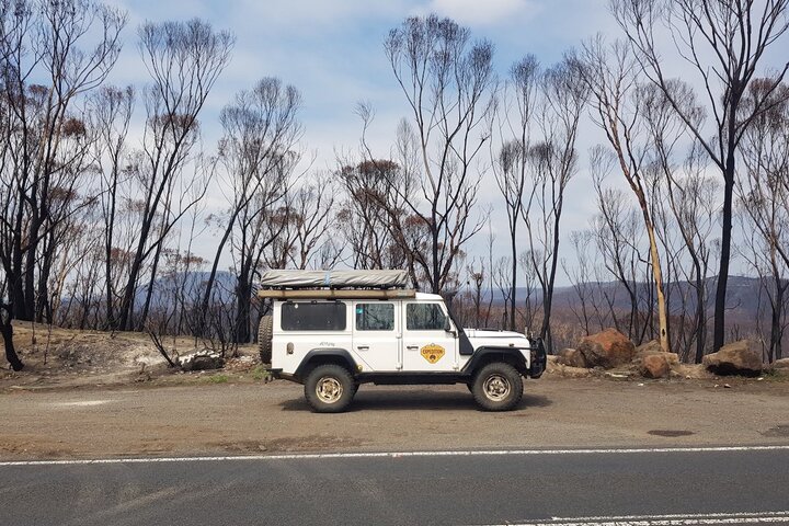 En Australie, les fausses informations sur les incendies se répandent comme une trainée de poudre