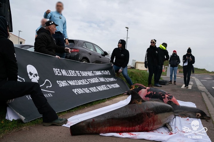 Des militants de Sea Shepherd France mis en garde à vue