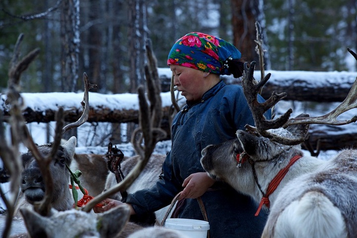 [À <span class="caps">VOIR</span>] Alaska, Japon, Mongolie... À la rencontre de populations «<small class="fine d-inline"> </small>écodépendantes<small class="fine d-inline"> </small>»