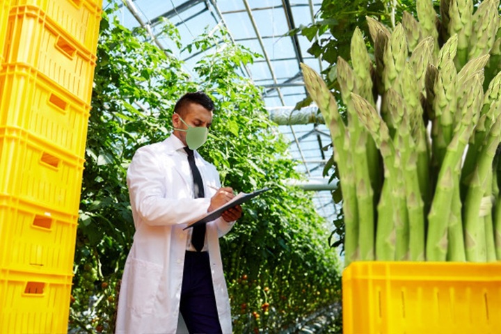 Une start-up française invente les masques respiratoires en fibre d'asperge