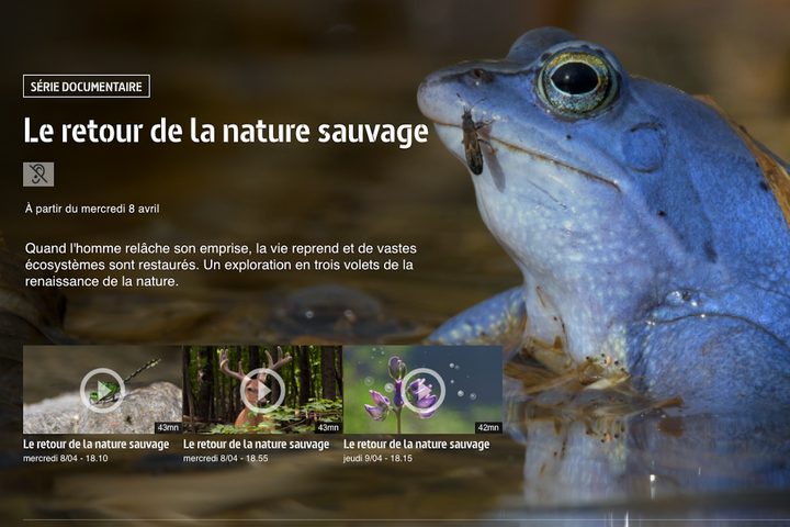 À <span class="caps">LA</span> TÉLÉ - Quand l'humain s'efface, le sauvage revient