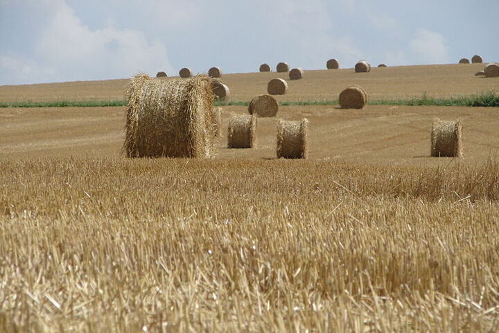 Des organisations écolos et paysannes dénoncent le lobbying de l'agro-industrie 