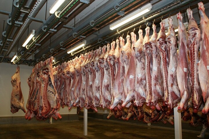 Plusieurs abattoirs sont des foyers épidémiques du Covid-19
