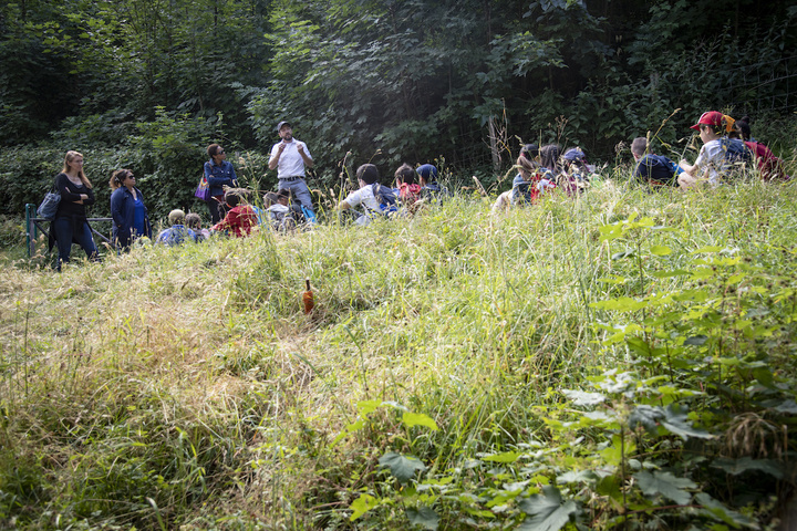 Après le confinement, des élèves expérimentent l'école en plein air