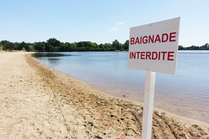 Les cyanobactéries toxiques prolifèrent dans les étendues d'eau