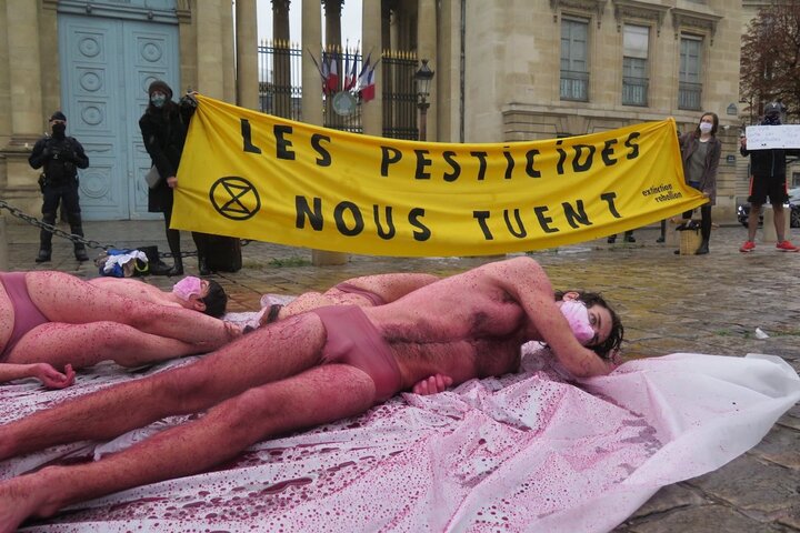 Nus pour lutter contre les néonicotinoïdes