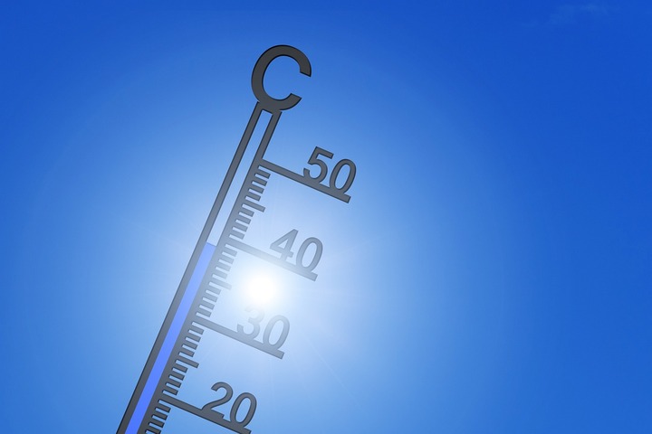 La chaleur du mois de novembre 2020 bat tous les records