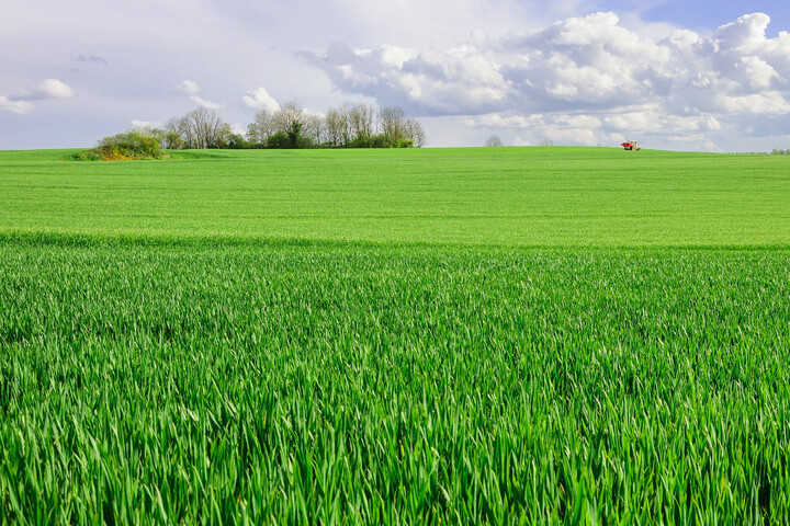 Une loi pour réguler l'accès aux terres agricoles… qui rate le coche 