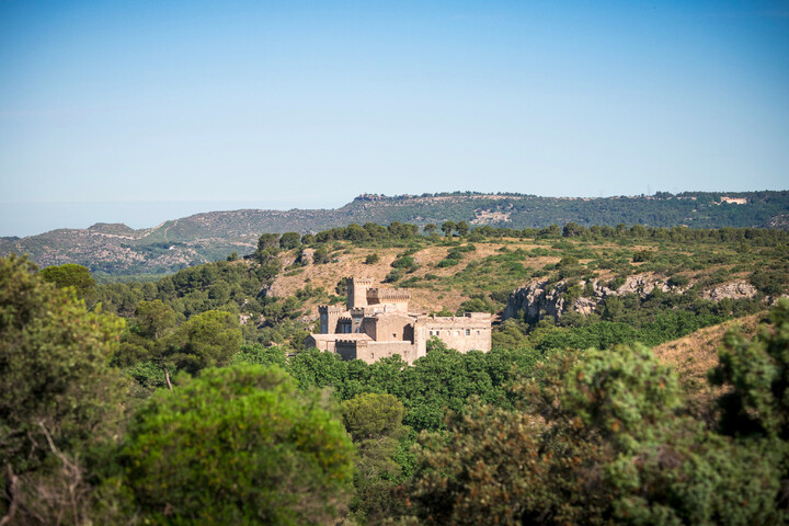 Au «<small class="fine d-inline"> </small>Puy du Fou provençal<small class="fine d-inline"> </small>», le bonheur du touriste ne fait pas celui de la nature