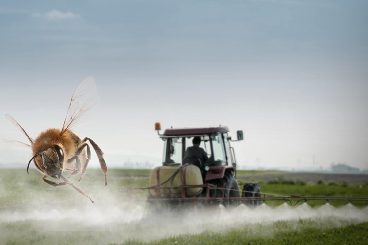 Un million d'Européens demandent la fin des pesticides
