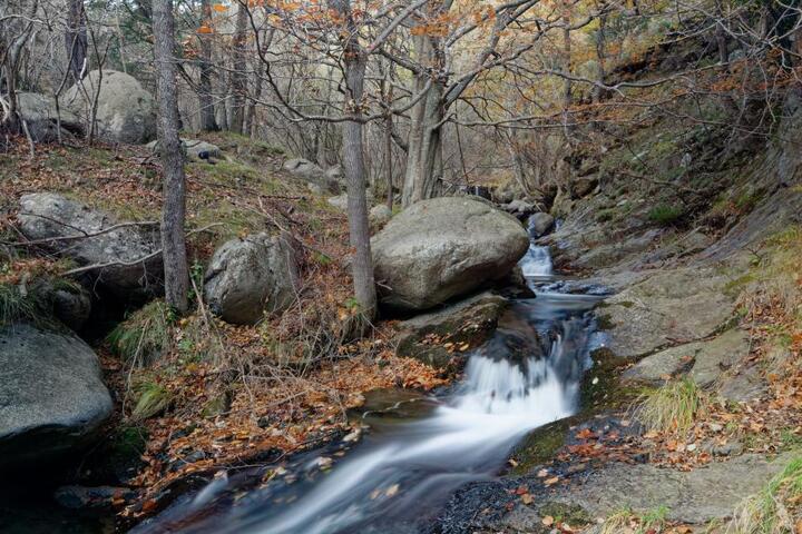 Urgence climatique et sécheresse, fêter l'eau à Perpignan (Pyrénées-Orientales)