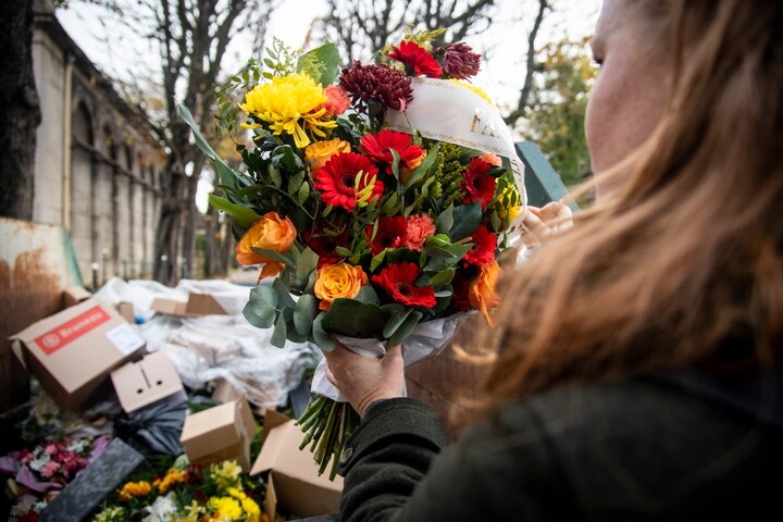 Bruyères, géraniums, chrysanthèmes... La seconde vie des fleurs de cimetière