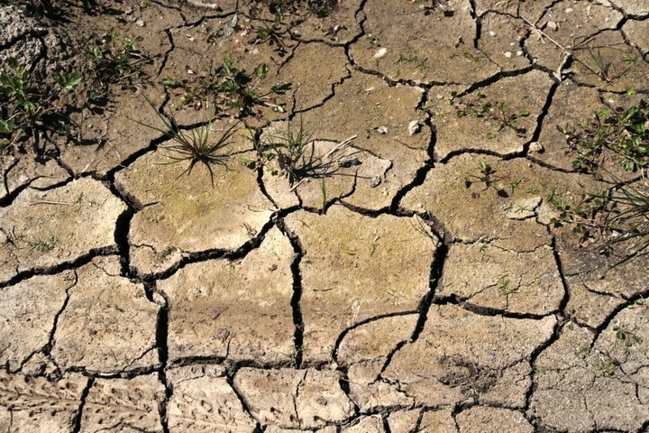 El Niño pourrait battre «<small class="fine d-inline"> </small>des records<small class="fine d-inline"> </small>» d'intensité en 2026