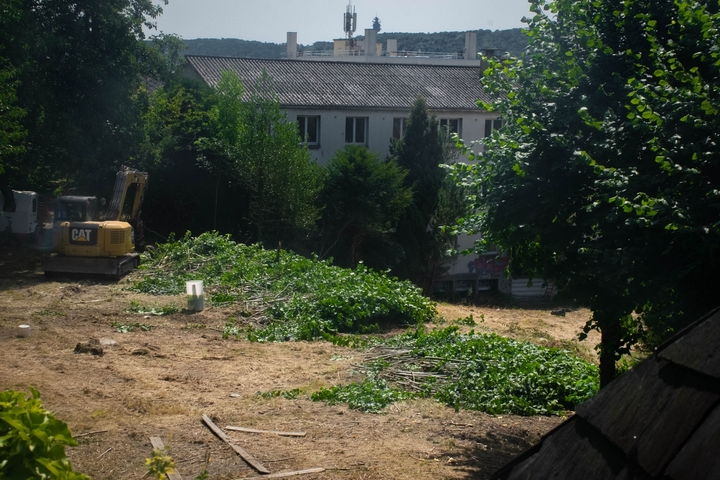 Rouen : en pleine canicule, des arbres coupés pour un projet immobilier