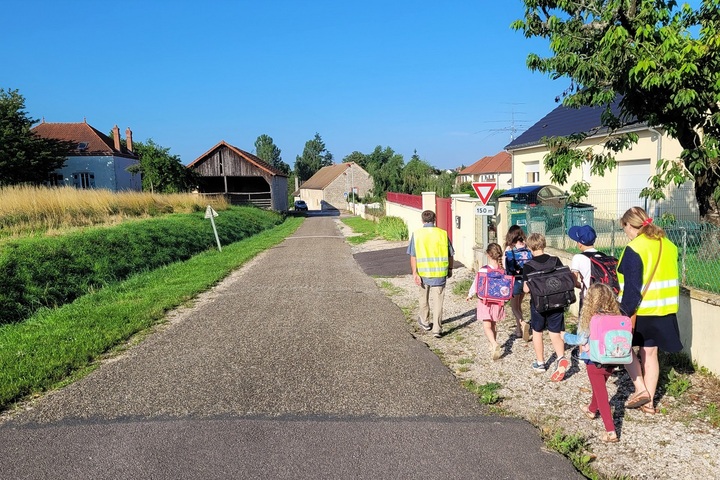 Pédibus : leur rentrée scolaire, ils la font à pied