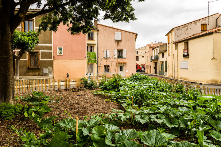 Dans cette «<small class="fine d-inline"> </small>ville éponge<small class="fine d-inline"> </small>», les potagers remplacent les parkings