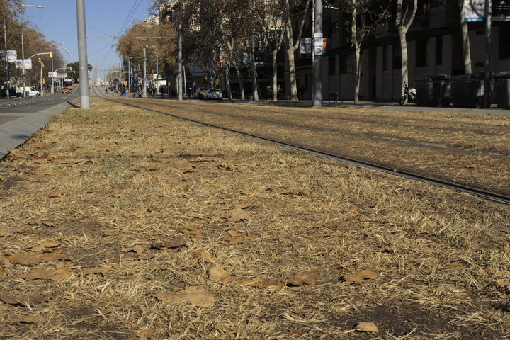 Barcelone assoiffée après trois ans de sécheresse