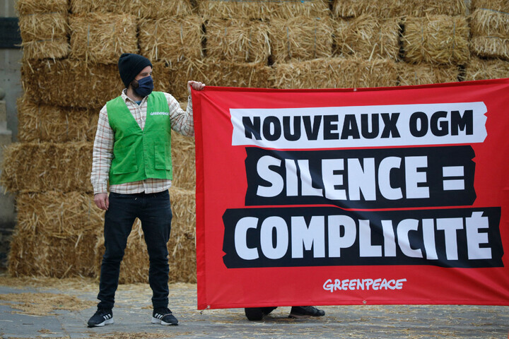 Mobilisation avant le vote sur les nouveaux <span class="caps">OGM</span> au Parlement européen