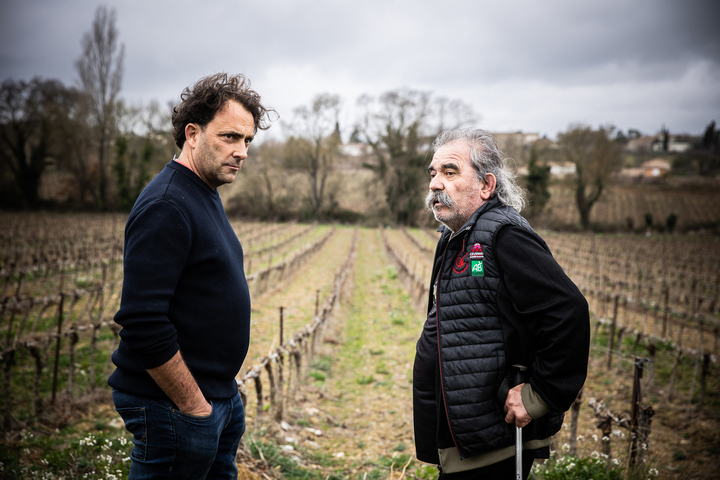 Pesticides : on a fait débattre deux viticulteurs que tout oppose
