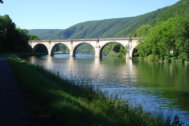 Rivière polluée : une interdiction de la pêche réclamée dans les Ardennes