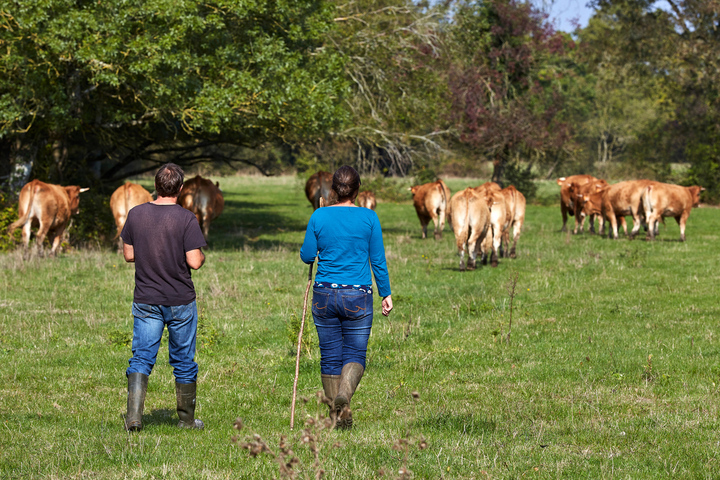 Projet de loi agricole : peu pour les futurs paysans, beaucoup pour l'agro-industrie