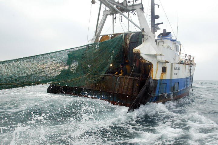 Victoire pour la Méditerranée : la Grèce interdit la pêche au chalut dans ses aires marines protégées