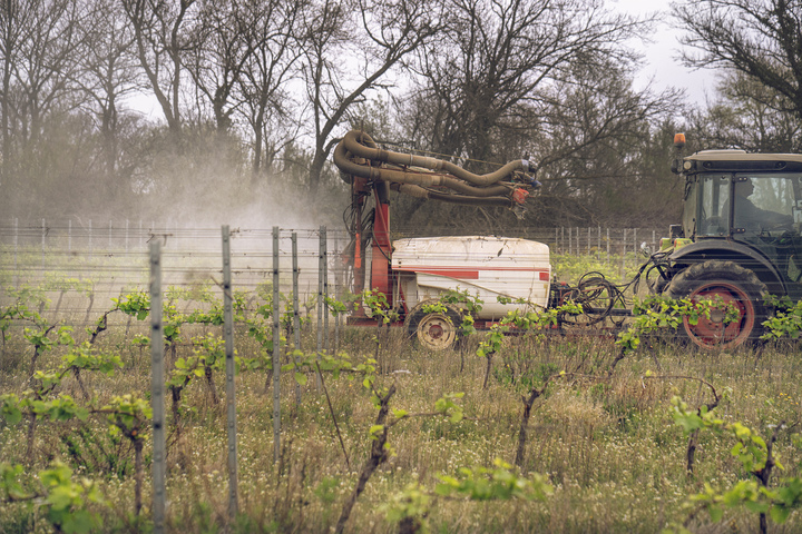 Le «<small class="fine d-inline"> </small>mensonge<small class="fine d-inline"> </small>» de l'État pour freiner la sortie des pesticides